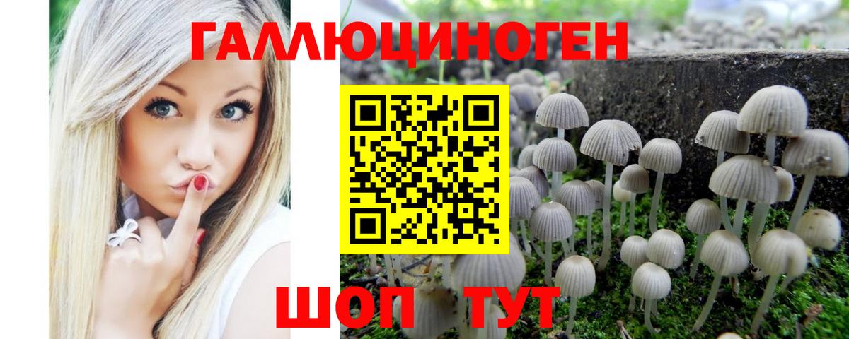 Галлюциногенные грибы Psilocybine cubensis  Вход с VPN  Новоалтайск 